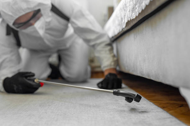 Professional Bed Bug Control technician working in Mercedes, TX
