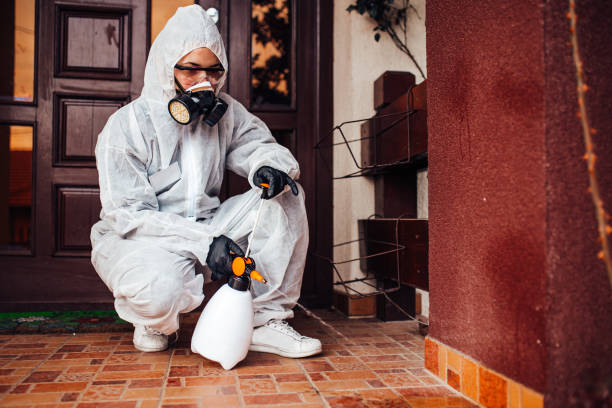 Reliable Bed Bug Control contractor in Mercedes, TX by Nex Pest Control